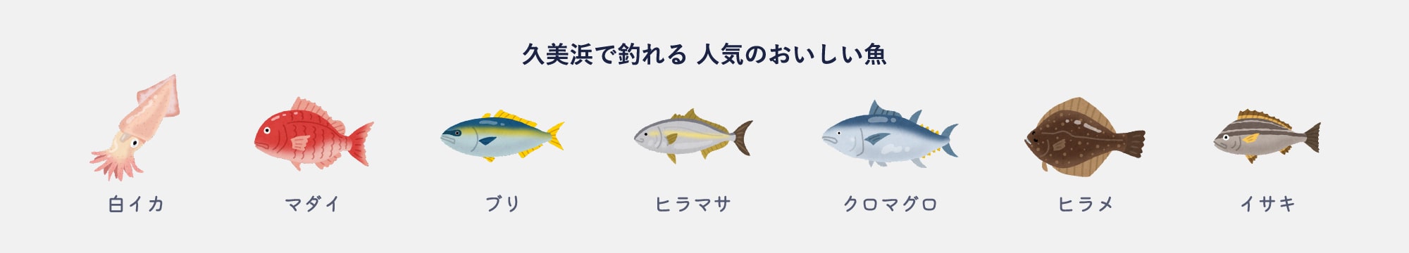 久美浜で釣れる 人気のおいしい魚